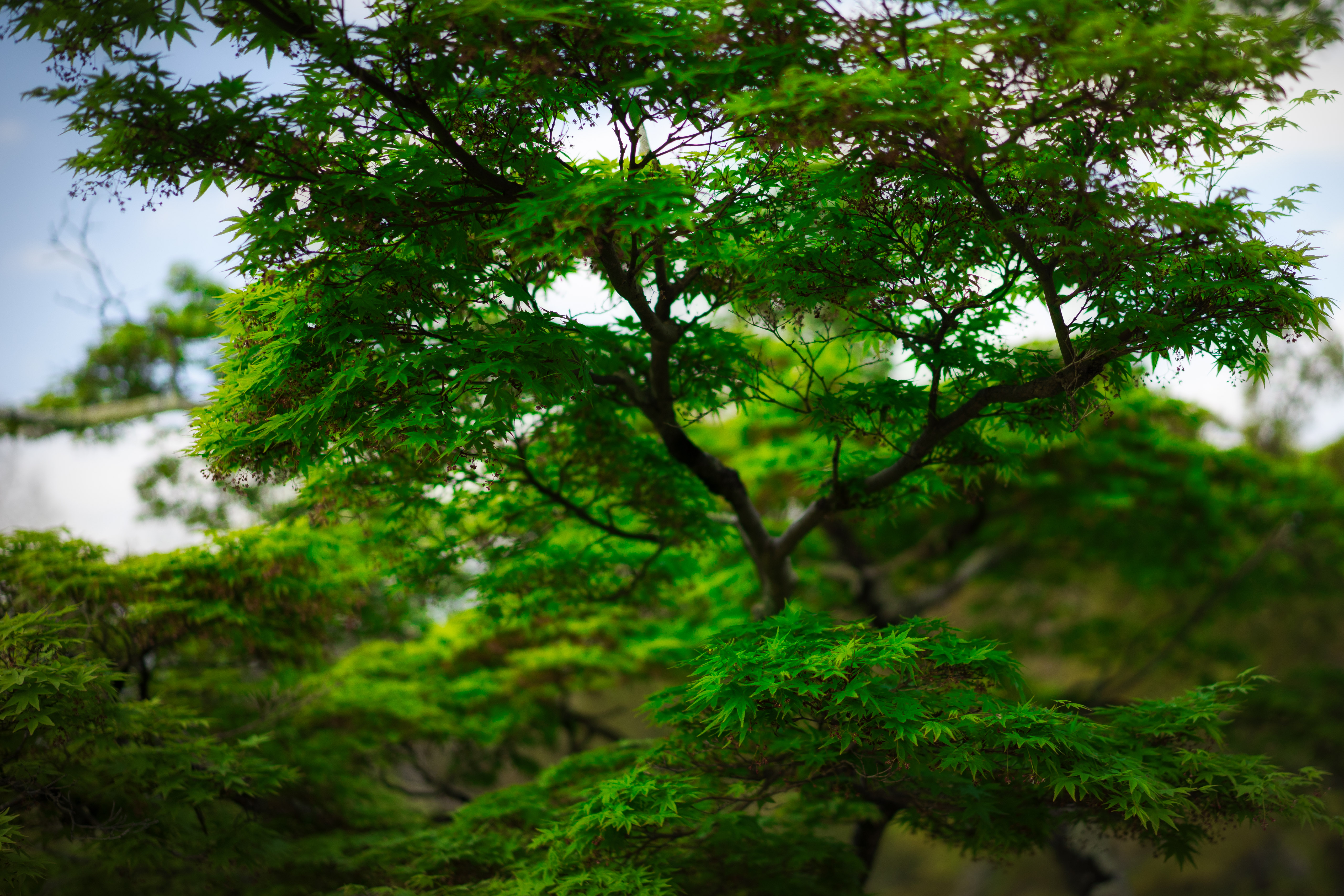 Green-ager – In a landscape